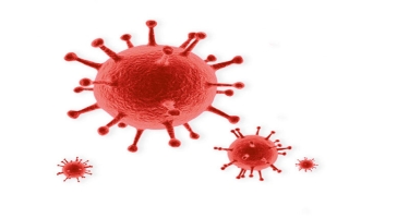 ÜST: Koronavirusun yeni ştamlarının adlandırılmasında bürc adlarından istifadə oluna bilər