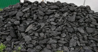 Kustar üsulla kömür hazırlanması sağlamlığa da ciddi ziyan vurur - Xidmət rəsmisi