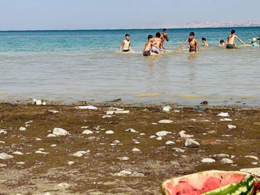 Azərbaycanın əsas su hövzəsində antisanitar vəziyyət - FOTO