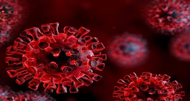 Mütəxəssis: “COVID-19 normal qrip virusuna çevriləcək”