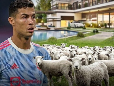 Ronaldo qoyunlara görə 14 milyonluq evindən köçdü - FOTO