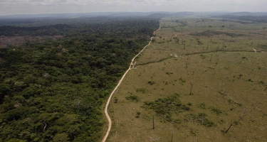 Amazon meşələri ilə bağlı qorxulu antirekord - FOTO