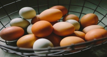 Hər gün yumurta yemək zərərlidirmi?
