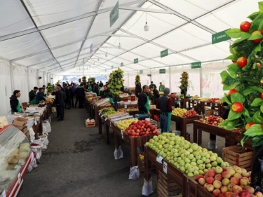 Bakı və Abşeronda “Kənddən Şəhərə” Yeni il yarmarkası keçiriləcək