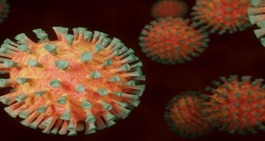 Alimlər: Koronavirusun 