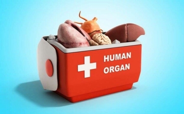 Orqan transplantasiyası ilə bağlı etika komissiyası - Yaradıldı