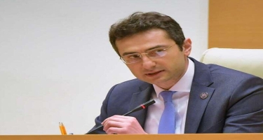 Gürcüstanın sabiq spikeri deputat mandatının ləğv olunmasını istəyir