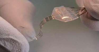 İflic insanları ayağa qaldıracaq yeni ümid: Onurğa beyni implantı yaradıldı - FOTO