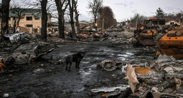 Avropanın ortasında qara dəlik: Ukrayna peykdən belə görünür - FOTO
