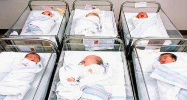Bu ölkədə ay ərzində doğulan uşaqların sayında yeni antirekord qeydə alınıb