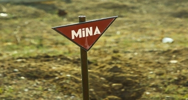 MN: Ötən ay 2300 ha ərazi minalardan təmizlənib