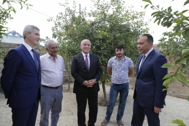 Qazilər üçün yaradılan təsərrüfatlara baxış olub - FOTO