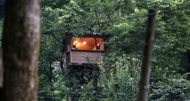 20 metr hündürlükdə, ağacların üstündə ev tikib - FOTO