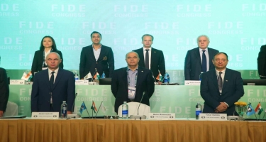 Mahir Məmmədov FİDE-nin vitse-prezidenti seçildi