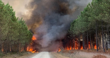 Fransada yanğınlar 57 min hektar ərazinin məhvinə səbəb oldu