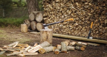 Moldova hökuməti odun axtarışı üçün sayt açdı