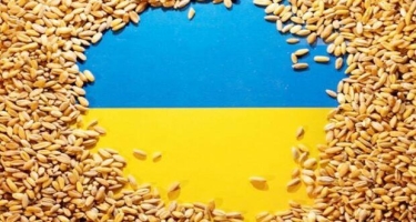 Ukrayna bu Afrika ölkələrinə 50 min ton  buğda göndərir