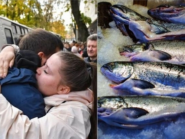 Səfərbər olunmuş hər kişinin əvəzinə beş kq balıq veriləcək - FOTO