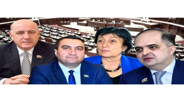 Milli Məclisin həkim deputatları - Araşdırma