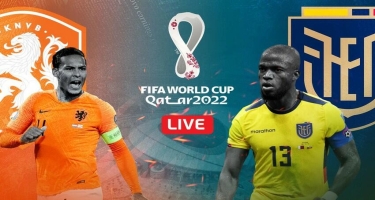 DÇ-2022: Niderland - Ekvador oyununda İKİ QOL VURULDU - FOTO