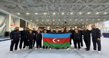 Azərbaycan gimnastları qızıl qazandılar