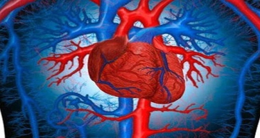 Ürək-damar sistemi xəstəliklərinin ƏSAS 5 RİSK FAKTORU. Özünüzü yoxlayın!