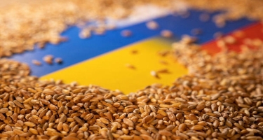 “Bloomberg”: Rusiya 1 milyard dollar dəyərində Ukrayna buğdasını oğurlayıb
