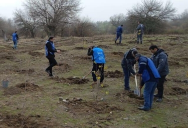 Zəngilanda ağacəkmə tədbiri keçirilib - FOTO