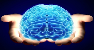 Baş beynin silkələnməsi