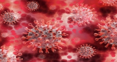Koronavirusa qarşı hansı immunitet daha effektlidir?