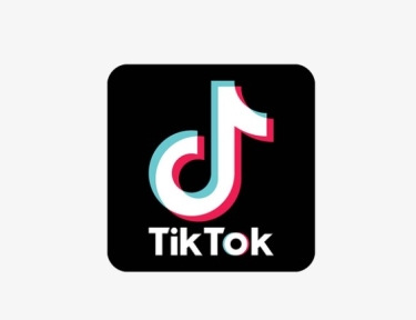 Bu ölkədə deputatlara “TikTok”dan istifadə qadağan edilib