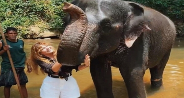 Aynişan Şri-Lankada fili ÇİMİZDİRDİ - VİDEO