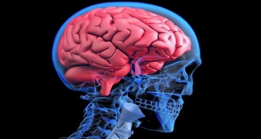 İnsan beyninin saxta xatirələr yarada biləcəyi müəyyən edilib