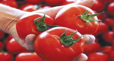 Pomidorun tərkibindəki likopin xərçəngdən müdafiə edir