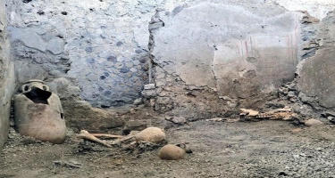 Tarixin ən güclü təbii fəlakətinin daha 2 qurbanının sümükləri tapıldı - FOTO