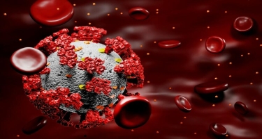 ABŞ kəşfiyyatı: “SARS-CoV-2” virusu bioloji silah kimi...
