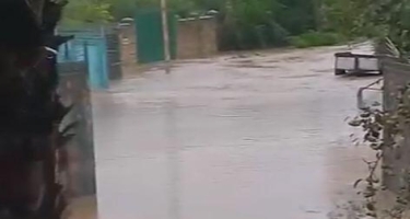 Astarada kəndi sel basıb - VİDEO