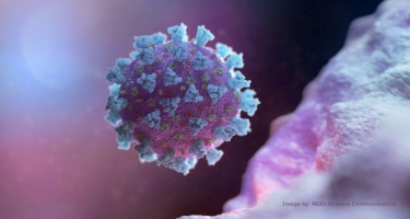 Koronavirusla bağlı narahatlıq doğuran AÇIQLAMA: Mövsümi infeksiya...