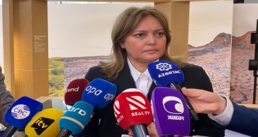 Umayra Tağıyeva: Azərbaycanın qlobal emissiyalarda payı 0,15 faiz təşkil edir