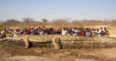 Afrikada kəndlilər həyatlarının şokunu yaşadılar -  uzunluğu 7 metr olan timsah...