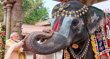 Hindistan lideri fildən xeyir-dua aldı - FOTO