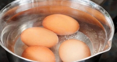 Yumurtanın düzgün bişirilməməsinin TƏHLÜKƏLƏRİ