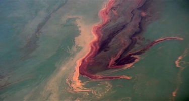 Qırmızı dənizdə nəhəng neft ləkəsi yarandı