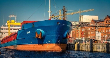 Hollandiyadan Türk limanlarına daşınan yüklərin həcmi açıqlanıb