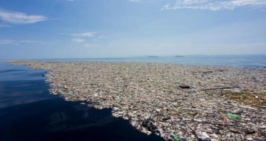 Okeanda yeni plastik “adalar” yarandı