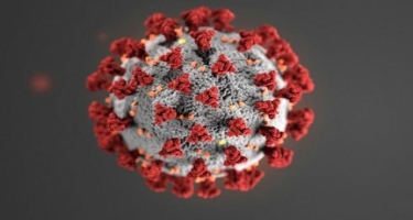 Yeni virus pandemiyaya səbəb ola bilər - TƏHLÜKƏ