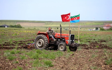 Türkiyəli fermerdən Azərbaycanla bağlı maraqlı addım - FOTOlar