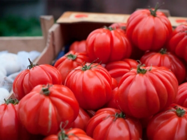 Pomidoru zeytunla qatıb saçınıza çəkin, görün nə olur