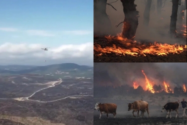 Boluda meşə yanğınından zərər çəkən ərazilər dronla görüntüləndi: Dəhşətli GÖRÜNTÜ