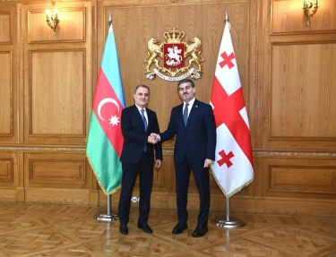 Ceyhun Bayramov Gürcüstan Prezidentini Ermənistanla normallaşma prosesi barədə məlumatlandırdı